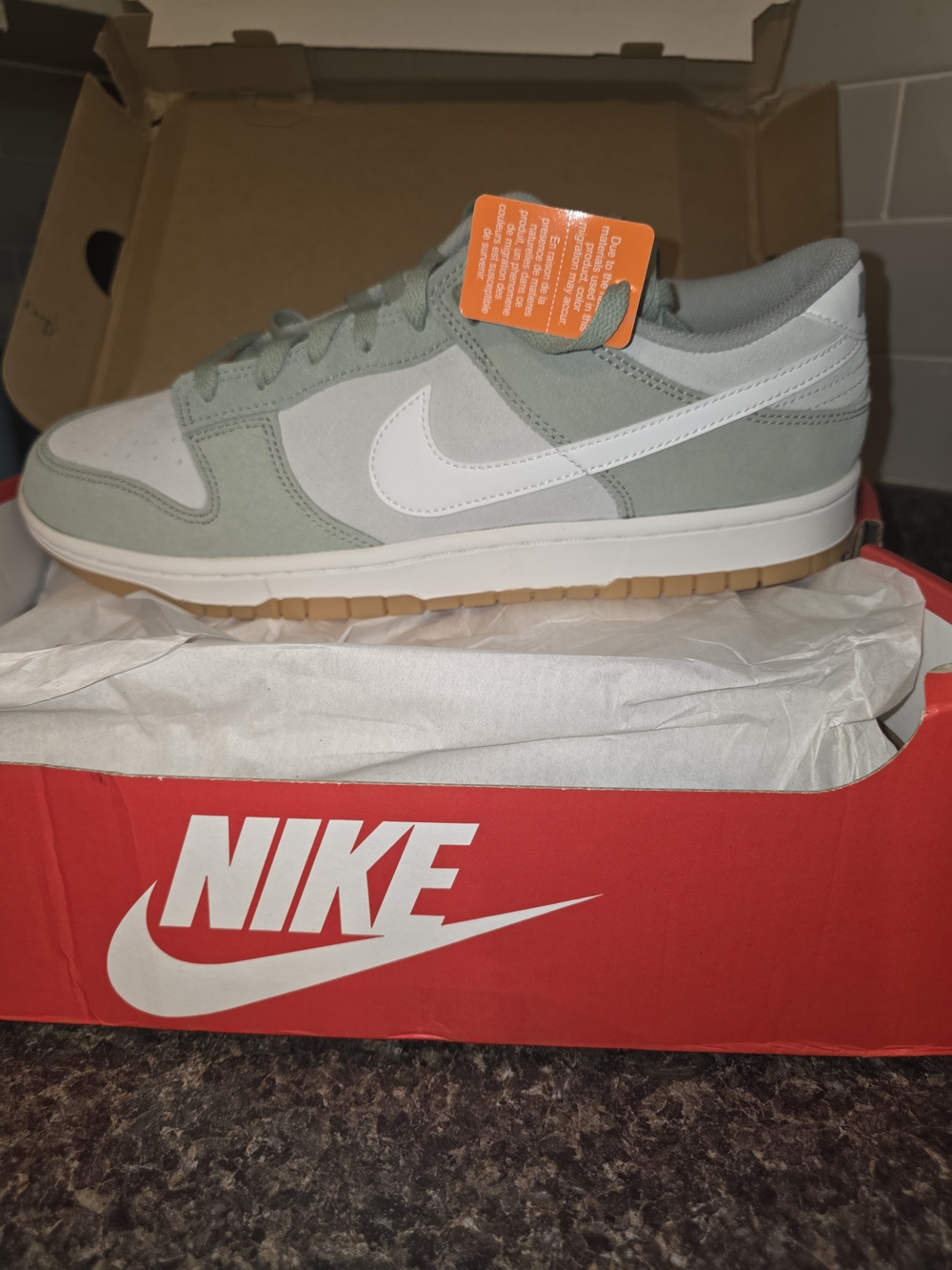 Nike Dunk Low Retro SE Jade Horizon Gum Suede Low Top Sneaker 2024 Size 12 Mens